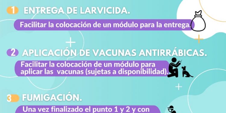 REALIZARÁN “ CAMPAÑA DE FUMIGACIÓN ESCOLAR “ EN ESCUELAS DE CABO SAN LUCAS