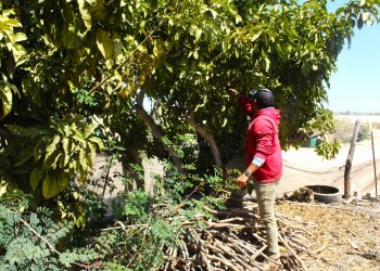 “VAMOS A TRABAJAR EN EQUIPO PARA DARLE A TODOS SANTOS LO QUE POR JUSTICIA MERECE “: HOMERO DAVIS