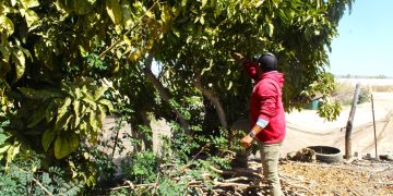 “VAMOS A TRABAJAR EN EQUIPO PARA DARLE A TODOS SANTOS LO QUE POR JUSTICIA MERECE “: HOMERO DAVIS