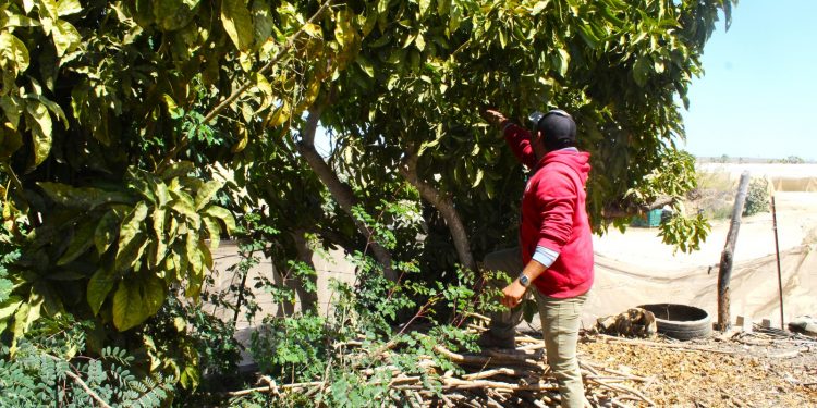 “VAMOS A TRABAJAR EN EQUIPO PARA DARLE A TODOS SANTOS LO QUE POR JUSTICIA MERECE “: HOMERO DAVIS