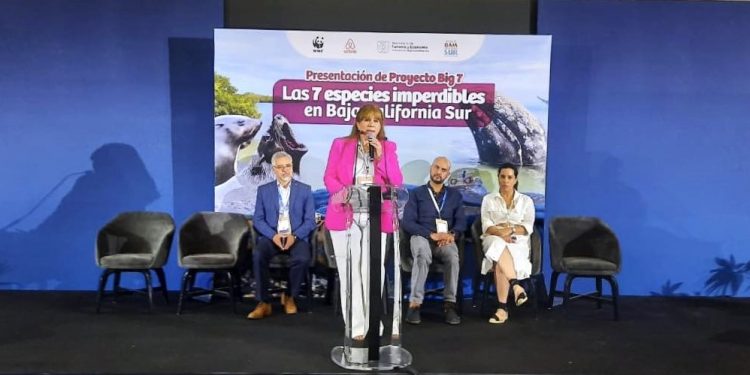 ATIENDE GOBERNADOR DE BCS SOLICITUDES DE TRABAJADORES DE LA EDUCACIÓN