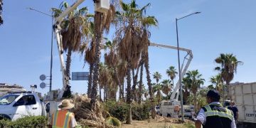 TRABAJAN SERVICIOS PÚBLICOS MUNICIPALES Y LA CFE EN EL MANTENIMIENTO DE LOS CAMELLONES CENTRALES DE LA CARRETERA TRANSPENINSULAR