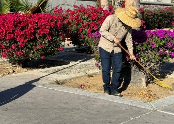 SERVICIOS PÚBLICOS REALIZARON UNA JORNADA MÁS DE LIMPIEZA EN LA ZONA HOTELERA DE SAN JOSÉ DEL CABO