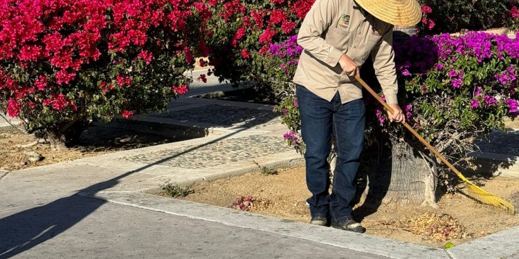 SERVICIOS PÚBLICOS REALIZARON UNA JORNADA MÁS DE LIMPIEZA EN LA ZONA HOTELERA DE SAN JOSÉ DEL CABO