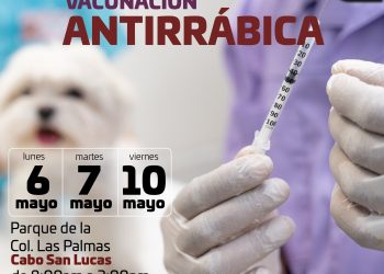 INVITA LA DIRECCIÓN DE SALUD A LA JORNADA DE VACUNACIÓN ANTIRRÁBICA ESTE 10 DE MAYO EN CSL.