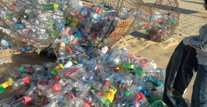  ZOFEMAT HA RECOLECTADO 562 KILOS DE PLÁSTICO DE LOS CONTENEDORES EN FORMA DE PEZ QUE SE UBICAN EN PLAYAS DE LOS CABOS DE ENERO A LA FECHA