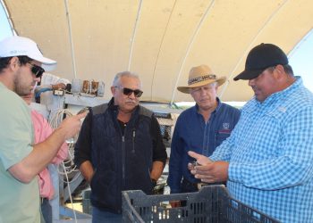 EVALÚAN A POLICÍAS PREVENTIVOS EN MATERIA DE COMPETENCIAS BÁSICAS