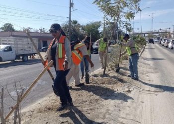 IMPLEMENTÓ SERVICIOS PÚBLICOS EL RIEGO SISTEMÁTICO DE ÁREAS VERDES, EN CAMELLONES CENTRALES DE LOS CABOS.