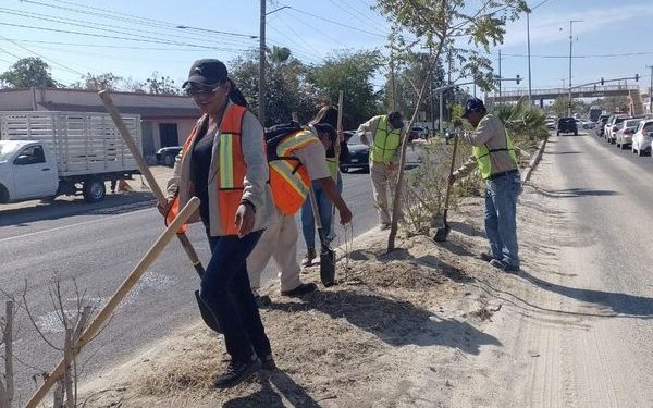IMPLEMENTÓ SERVICIOS PÚBLICOS EL RIEGO SISTEMÁTICO DE ÁREAS VERDES, EN CAMELLONES CENTRALES DE LOS CABOS.