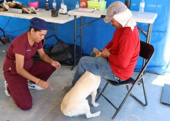 COORDINAN EL GOBIERNO DE LOS CABOS Y LA SECRETARÍA DE SALUD EL ARRANQUE DE LA JORNADA DE VACUNACIÓN ANTIRRÁBICA 2024.