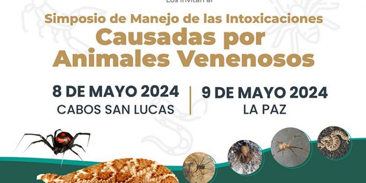 SUPERVISA GOBERNADOR Y TITULAR DE SEDATU AVANCES EN LA OBRA DEL PARQUE LIBRAMIENTO NORTE EN LA PAZ