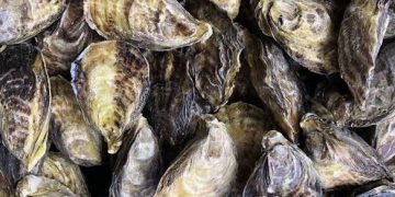 PRESENTARÁN OBRA TEATRAL “FUGA EN OCTUBRE ROJO”