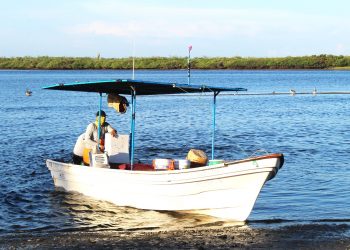 POR CONCLUIR PLAZO PARA PRESENTAR LA DECLARACIÓN PATRIMONIAL 2024