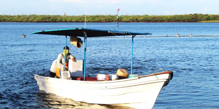 POR CONCLUIR PLAZO PARA PRESENTAR LA DECLARACIÓN PATRIMONIAL 2024