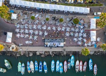 REANUDA COEPRIS EXTRACCIÓN DE MOLUSCOS BIVALVOS EN PUERTO ADOLFO LÓPEZ MATEOS