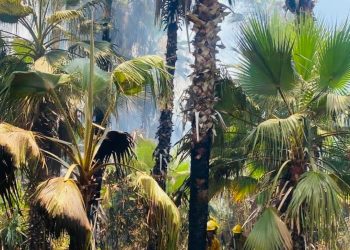 BCS, PRIMER LUGAR NACIONAL EN GOBERNABILIDAD Y PAZ SOCIAL