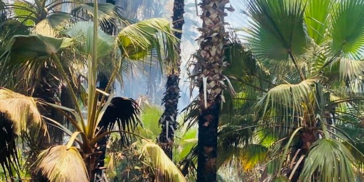 BCS, PRIMER LUGAR NACIONAL EN GOBERNABILIDAD Y PAZ SOCIAL