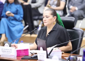 GARANTIZA INE QUE MEXICANAS Y MEXICANOS PODRÁN EJERCER SU DERECHO AL VOTO EN TOTAL LIBERTAD EL PRÓXIMO 2 DE JUNIO