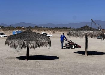 REALIZÓ ZOFEMAT CAMPAÑA DE LIMPIEZA EN LA PLAYA CON CERTIFICACIÓN BLUE FLAG EN LA DELEGACIÓN DE LA RIBERA