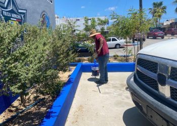 REALIZAN TRABAJOS DE MANTENIMIENTO INTEGRAL EN COMANDANCIA DELEGACIONAL DE CABO SAN LUCAS