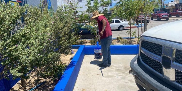 REALIZAN TRABAJOS DE MANTENIMIENTO INTEGRAL EN COMANDANCIA DELEGACIONAL DE CABO SAN LUCAS