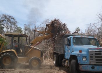 DAN INICIO A TRABAJOS DE LIMPIEZA EXTENSIVA EN LA RESERVA ECOLÓGICA ESTATAL ESTERO SAN JOSÉ DEL CABO