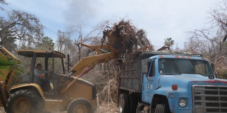 DAN INICIO A TRABAJOS DE LIMPIEZA EXTENSIVA EN LA RESERVA ECOLÓGICA ESTATAL ESTERO SAN JOSÉ DEL CABO