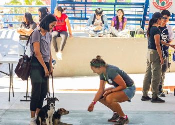 SE REALIZARON 347 ESTERILIZACIONES DE MASCOTAS EN CAMPAÑA DE ESTERILIZACIÓN EN EL MUNICIPIO DE LOS CABOS