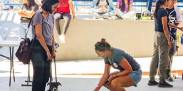 SE REALIZARON 347 ESTERILIZACIONES DE MASCOTAS EN CAMPAÑA DE ESTERILIZACIÓN EN EL MUNICIPIO DE LOS CABOS