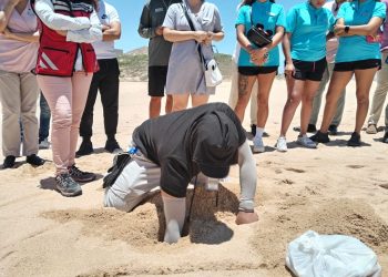 CON MOTIVO DEL DÍA MUNDIAL DE LAS TORTUGAS INFORMA GOBIERNO MUNICIPAL QUE EL PROGRAMA DE PROTECCIÓN A TORTUGA MARINA EN EL MUNICIPIO DE LOS CABOS CONTEMPLA 130 KILÓMETROS DE LITORAL