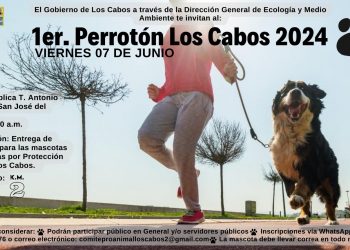 INVITA GOBIERNO DE LOS CABOS A TRAVÉS DE LA DIRECCIÓN DE ECOLOGÍA Y MEDIO AMBIENTE A PARTICIPAR EN EL 1ER. PERROTON LOS CABOS 2024