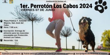 INVITA GOBIERNO DE LOS CABOS A TRAVÉS DE LA DIRECCIÓN DE ECOLOGÍA Y MEDIO AMBIENTE A PARTICIPAR EN EL 1ER. PERROTON LOS CABOS 2024