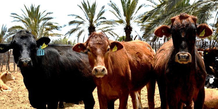 DELEGACIÓN BCS GANAN MEDALLAS DE PLATINO Y BRONCE EN INFOMATRIX IBEROAMÉRICA