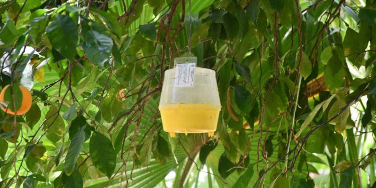 CAPACITAN A PERSONAL DE ISIPD, A TRAVÉS DE CURSO-TALLER PARA ATENCIÓN A PERSONAS CON DISCAPACIDAD