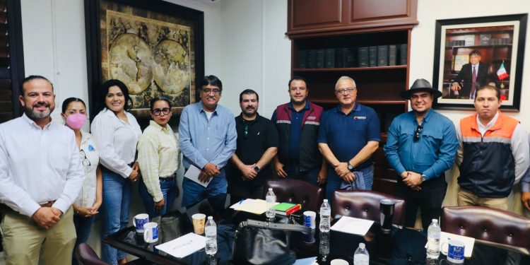 IMPLEMENTARÁN UNA CAMPAÑA QUE PERMITA COMBATIR Y PREVENIR FUTUROS BROTES DE HEPATITIS EN EL MUNICIPIO DE LOS CABOS.