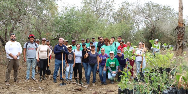 GOBIERNO MUNICIPAL, INICIATIVA PRIVADA, ASOCIACIONES CIVILES Y SOCIEDAD, SE SUMARON A LA PRIMERA ETAPA DE REFORESTACIÓN DEL ESTERO JOSEFINO