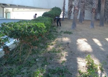 REALIZAN DIARIAMENTE TRABAJOS DE MANTENIMIENTO EN  EL PABELLÓN CULTURAL DE LA REPÚBLICA “NABOR GARCÍA AGUIRRE” EN CSL  PARA SEGURIDAD DE LOS USUARIOS   