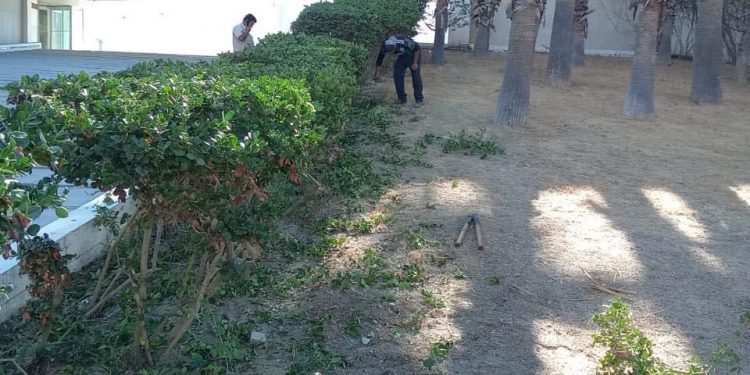 REALIZAN DIARIAMENTE TRABAJOS DE MANTENIMIENTO EN  EL PABELLÓN CULTURAL DE LA REPÚBLICA “NABOR GARCÍA AGUIRRE” EN CSL  PARA SEGURIDAD DE LOS USUARIOS   