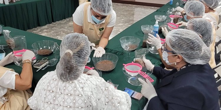 VOLUNTARIADO IMSS EN BCS ELABORA PRÓTESIS ARTESANALES PARA MUJERES QUE PADECIERON CÁNCER