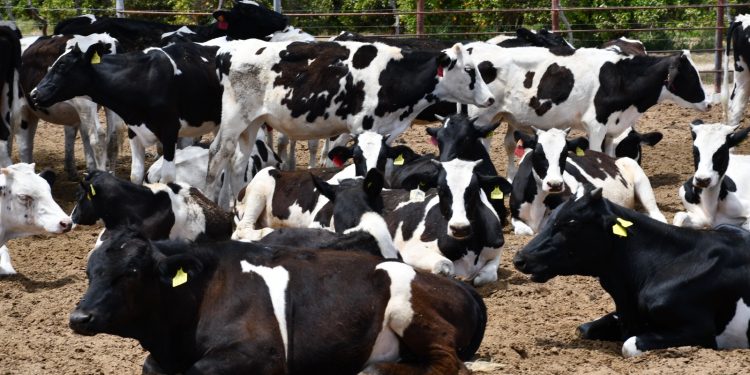 CAPACITA SEDIF A PERSONAL DEL CENTRO ASISTENCIAL INFANTIL LOMA LINDA