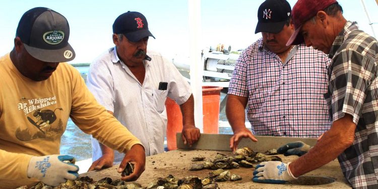 PARTICIPA GOBERNADOR VMCC EN “FANDANGO POR LA LECTURA” JUNTO A BEATRIZ GUTIÉRREZ MÜLLER