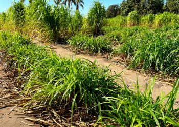 FIRMA VMCC CONVENIO EN SERVICIOS DE SALUD PARA TRABAJADORES DE LA EDUCACIÓN Y BURÓCRATAS DE VIZCAÍNO