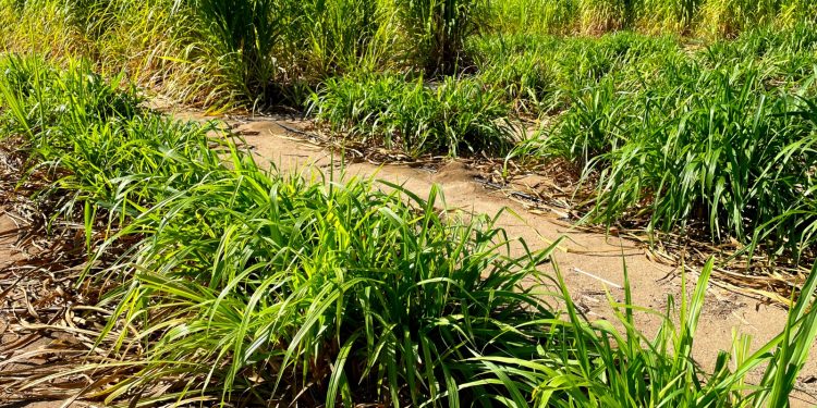 FIRMA VMCC CONVENIO EN SERVICIOS DE SALUD PARA TRABAJADORES DE LA EDUCACIÓN Y BURÓCRATAS DE VIZCAÍNO