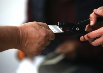 INICIA LA PUBLICACIÓN OFICIAL DE RESULTADOS PRELIMINARES EN EL PORTAL DEL PREP DEL PEF 2023-2024