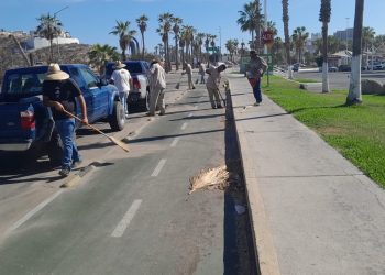 REALIZAN JORNADA DE LIMPIEZA EN LA ZONA HOTELERA DE SAN JOSÉ DEL CABO
