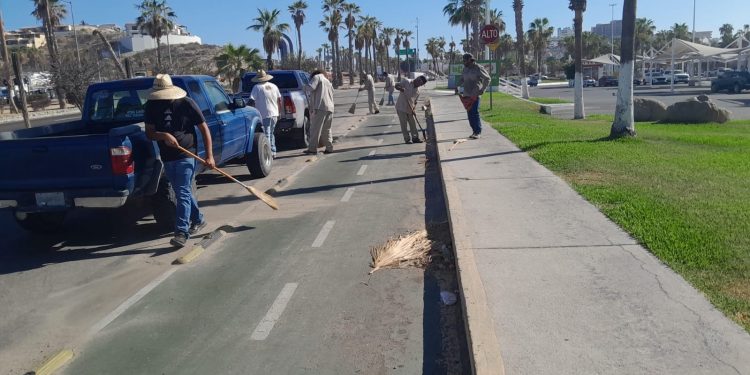 REALIZAN JORNADA DE LIMPIEZA EN LA ZONA HOTELERA DE SAN JOSÉ DEL CABO