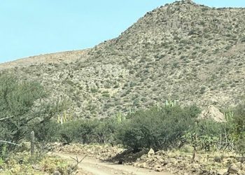 ABCdario Por Víctor Octavio García C