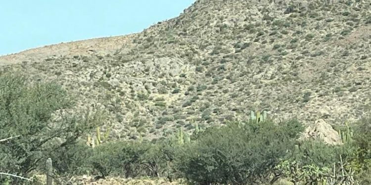 ABCdario Por Víctor Octavio García C