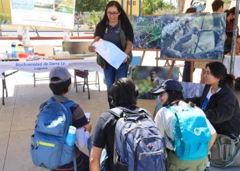 INVITACIÓN A CICLO DE CONFERENCIAS EN LA  UABCS POR EL XXX ANIVERSARIO DE LA RESERVA DE LA BIÓSFERA SIERRA LA LAGUNA