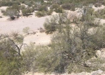 ABCdario  Por Víctor Octavio García